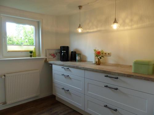 Η κουζίνα ή μικρή κουζίνα στο Ferienhaus In Bracht Mit Garten