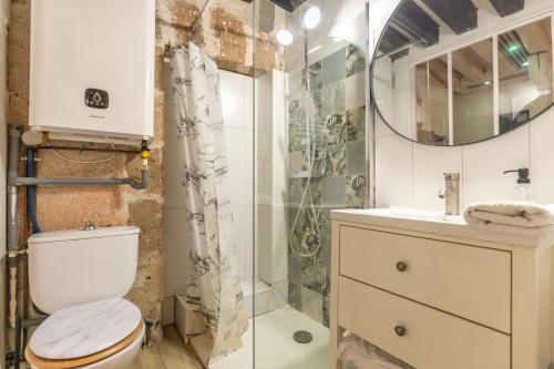 a bathroom with a toilet and a sink and a shower at Blois hypercentre, calme, charme avec terrasse in Blois