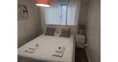 Large Contemporary Apartment with Three-Bedroom