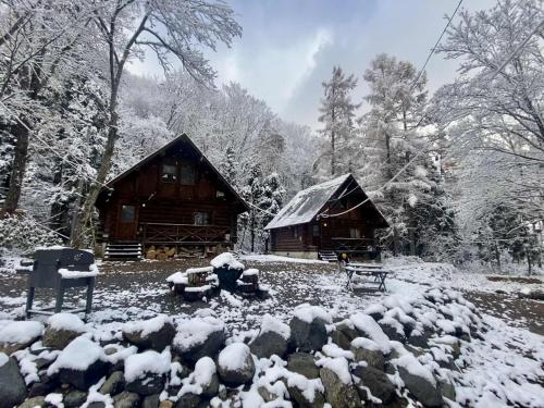 Yama Cabins