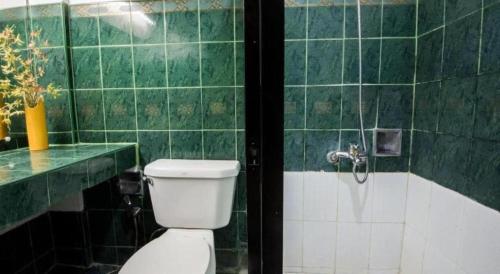 ein grün gefliestes Bad mit einem WC und einer Dusche in der Unterkunft Family Country Hotel and Convention Centre in Lagao