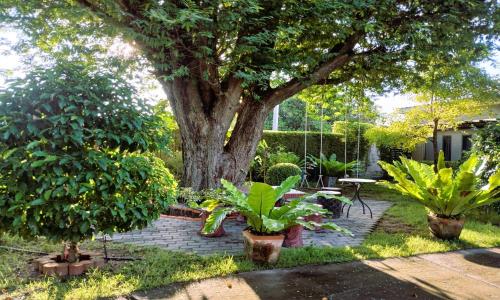 Un jardín fuera de Viphuanan Resort