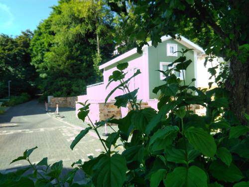 une petite maison rose avec un arbre devant elle dans l'établissement Ferienhaus Mit Grill In Bad Marienberg, à Bad Marienberg