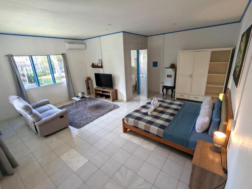 une chambre avec un lit, un canapé et une télévision dans l'établissement Crazy Bears Guesthouse, à Moalboal