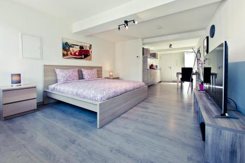a bedroom with a bed and a television in it at Appart-Hotel Léopold Liège Centre in Liège