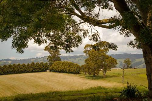 Φυσικό τοπίο κοντά σε αυτή η παραθεριστική κατοικία
