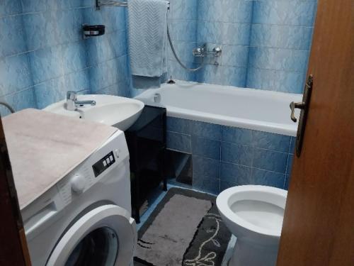 a bathroom with a toilet and a washing machine at Apartment Modric - Two Bedroom Apartment With Terrace in Senj