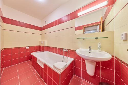 a bathroom with a sink and a bath tub at Garnet Penzion in Olomouc