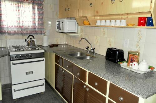 uma pequena cozinha com um lavatório e um fogão em Amapolas Huéspedes em Tandil