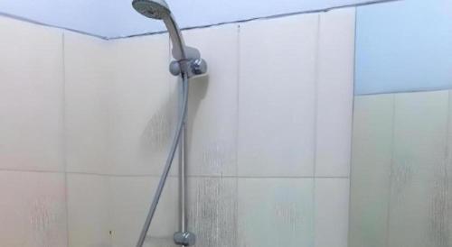 a shower with a shower head in a bathroom at Pineapple Mansion in Bonorejo