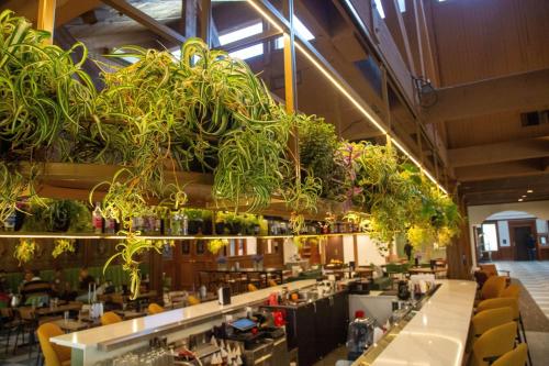 a restaurant with plants hanging from the ceiling at Bay Valley Resort, a Wyndham Hotel in Bay City
