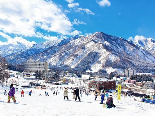a group of people skiing on a snow covered mountain at 47 - Snow Village Cozy Lodge Yuzawa in Yuzawa