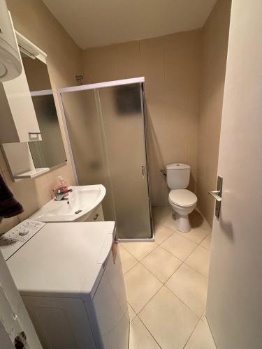 a bathroom with a shower and a sink and a toilet at Lakeside View in Kuside