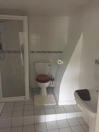 a bathroom with a toilet and a walk in shower at Red Lion Inn in Sidbury