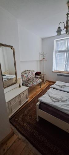 1 dormitorio con espejo, 1 cama y 1 silla en Modern and Old Base, en Sofía