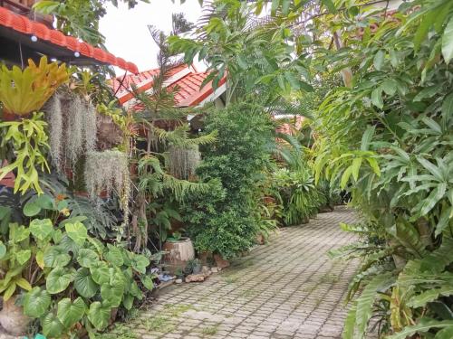 un jardin avec de nombreuses plantes et une passerelle dans l'établissement ouychai resort home stay, à Chiang Mai