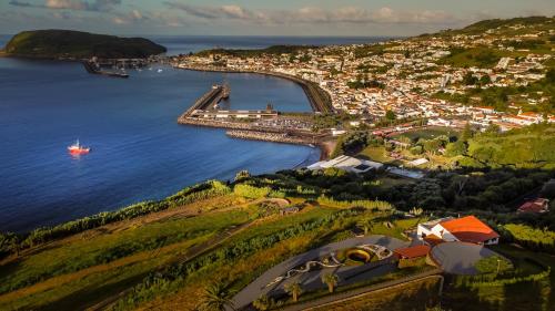 an aerial view of a harbor with a boat in the water at Casa Espalamaca in Horta