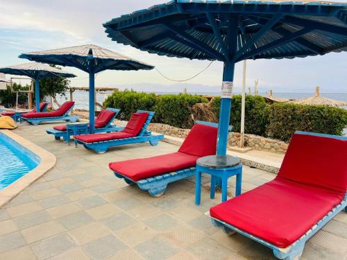 Swimmingpoolen hos eller tæt på New Sphinx Dahab