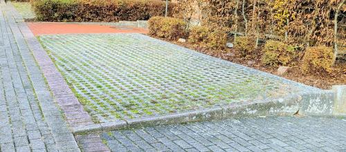 Un jardín fuera de Apartment37671