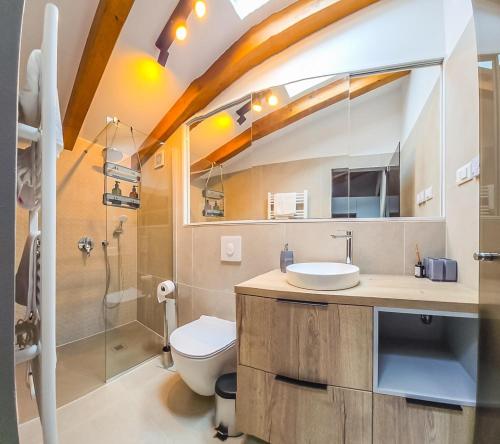 ein Badezimmer mit Waschbecken, Toilette und Dusche in der Unterkunft Apartman San Zuian in Bale