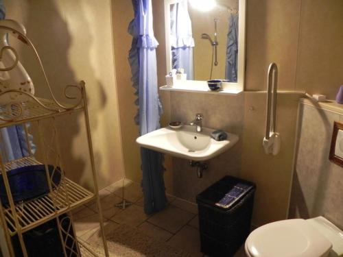 a bathroom with a sink and a toilet and a mirror at Les Belins in Bourg-le-Comte