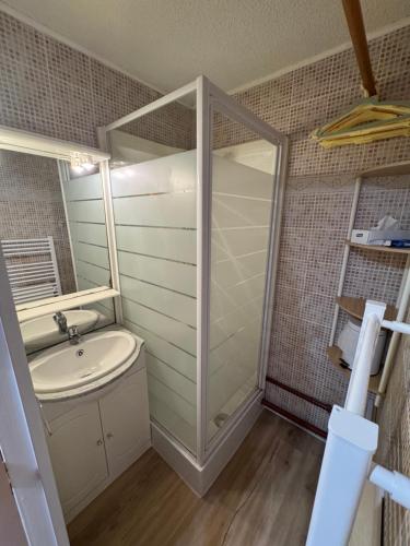 een badkamer met een wastafel en een douche bij Studio RISOUL station in Risoul