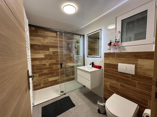 une salle de bains avec douche, toilettes et lavabo dans l'établissement Villa Reignier, à Reignier-Ésery