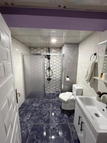 um banheiro com chuveiro, vaso sanitário e pia em Nigrum Nova em Nevşehir