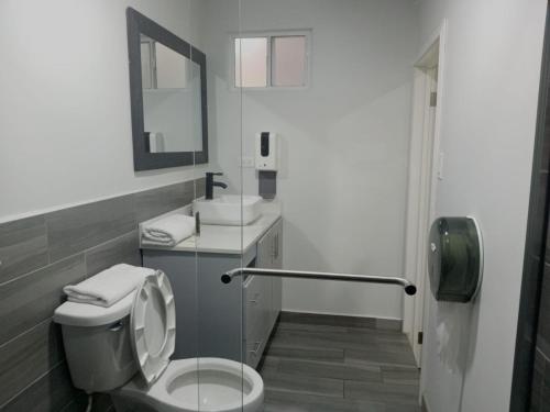 a bathroom with a toilet and a sink and a mirror at Mini suite in House or Varz hotel boutique in Tijuana
