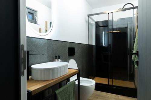 un bagno con lavandino, WC e doccia di Cabana pe Deal a Remetea Chioarului