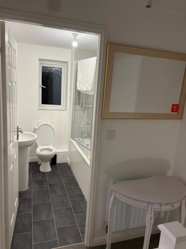 une salle de bains avec toilettes et lavabo dans l'établissement Bettys Acklam hideout, à Middlesbrough