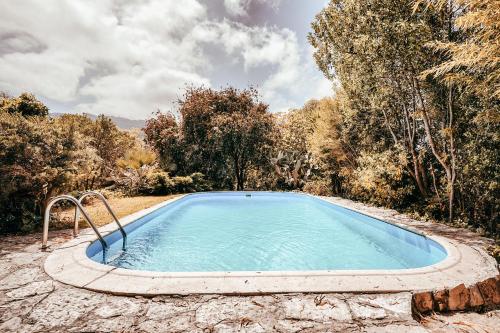 a swimming pool in the middle of a forest at Casa da Rampa By Gt House in Sintra