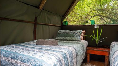 Ένα ή περισσότερα κρεβάτια σε δωμάτιο στο Pafuri Accommodation Rivercamp