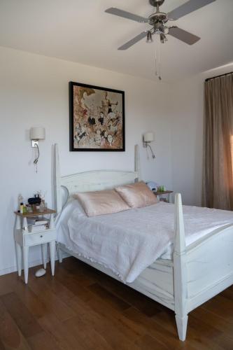 Estate in Provence