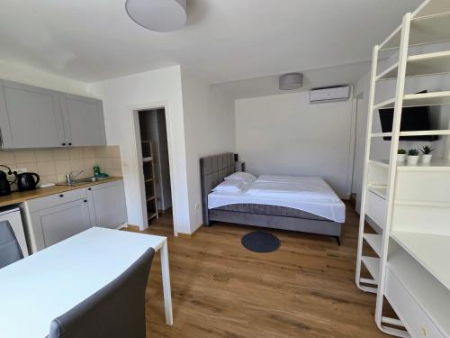 a small room with a bed and a kitchen at Apartment Trubarjeva33, near Ljubljana, free parking in Velike Lašče