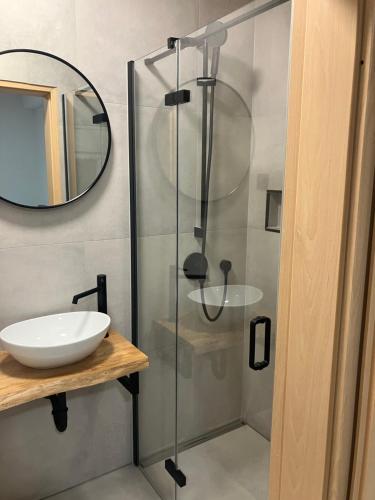 a bathroom with a glass shower with a sink at Apartmani Gagi in Vir