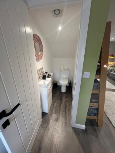 a bathroom with a toilet and a sink at The Haven in Pembrokeshire