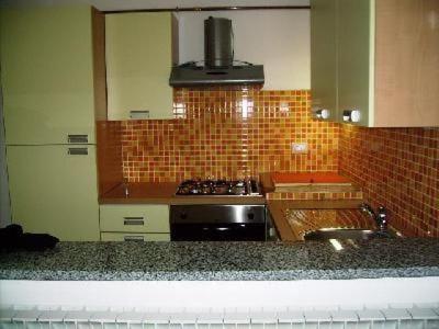 a kitchen with a stove and a sink in it at Wohnung Oleandro In Miasino in Miasino