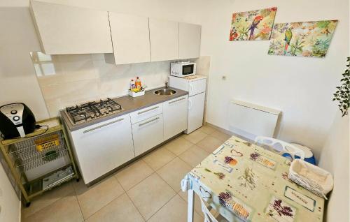 Kuchyň nebo kuchyňský kout v ubytování 1 Bedroom Beautiful Apartment In Vrbnik