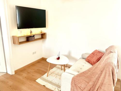 ein Wohnzimmer mit Sofa und Fernseher in der Unterkunft Le Cocon des rêves studio neuf avec terrasse et Parking in Wintzenheim