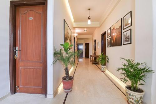 斋浦尔FabHotel Gitanjali的走廊上设有盆栽和木门