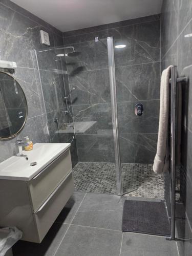 un baño con ducha y lavabo en Kilgar gardens, en Kilcock