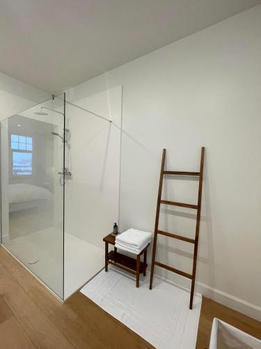 a glass shower with a stool and a ladder at Villa Magnolia B&B in Oostkamp