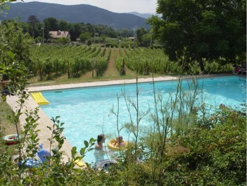 Příroda nedaleko apartmánu