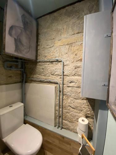 a bathroom with a toilet and a stone wall at A Pers in Saint-Projet