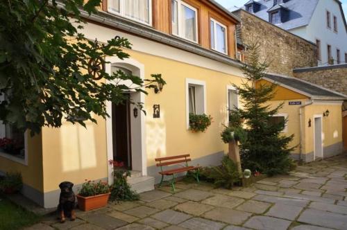 un chien debout devant un bâtiment jaune dans l'établissement Linke, à Annaberg-Buchholz