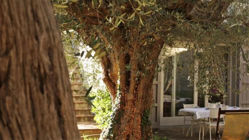 ein Baum vor einem Haus mit einem Tisch und Stühlen in der Unterkunft Geräumige Zweizimmerwohnung in Pesaro