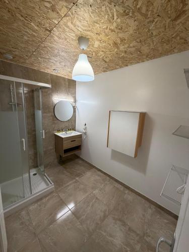 a bathroom with a shower and a sink and a mirror at Le Champenois in Festigny