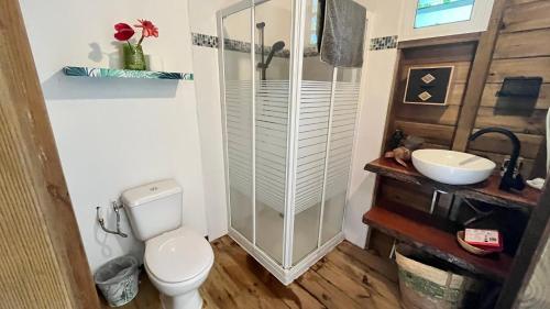 a bathroom with a shower and a toilet and a sink at Chalet de Dolé in Gourbeyre