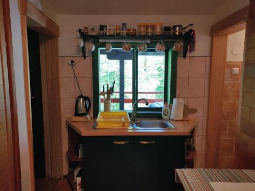 eine Küche mit Spüle und Fenster in der Unterkunft Šajnska Hiža, autentična goranska kuća u prirodi in Brod Moravice